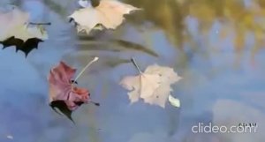 Любовь сгорает в эту осень
