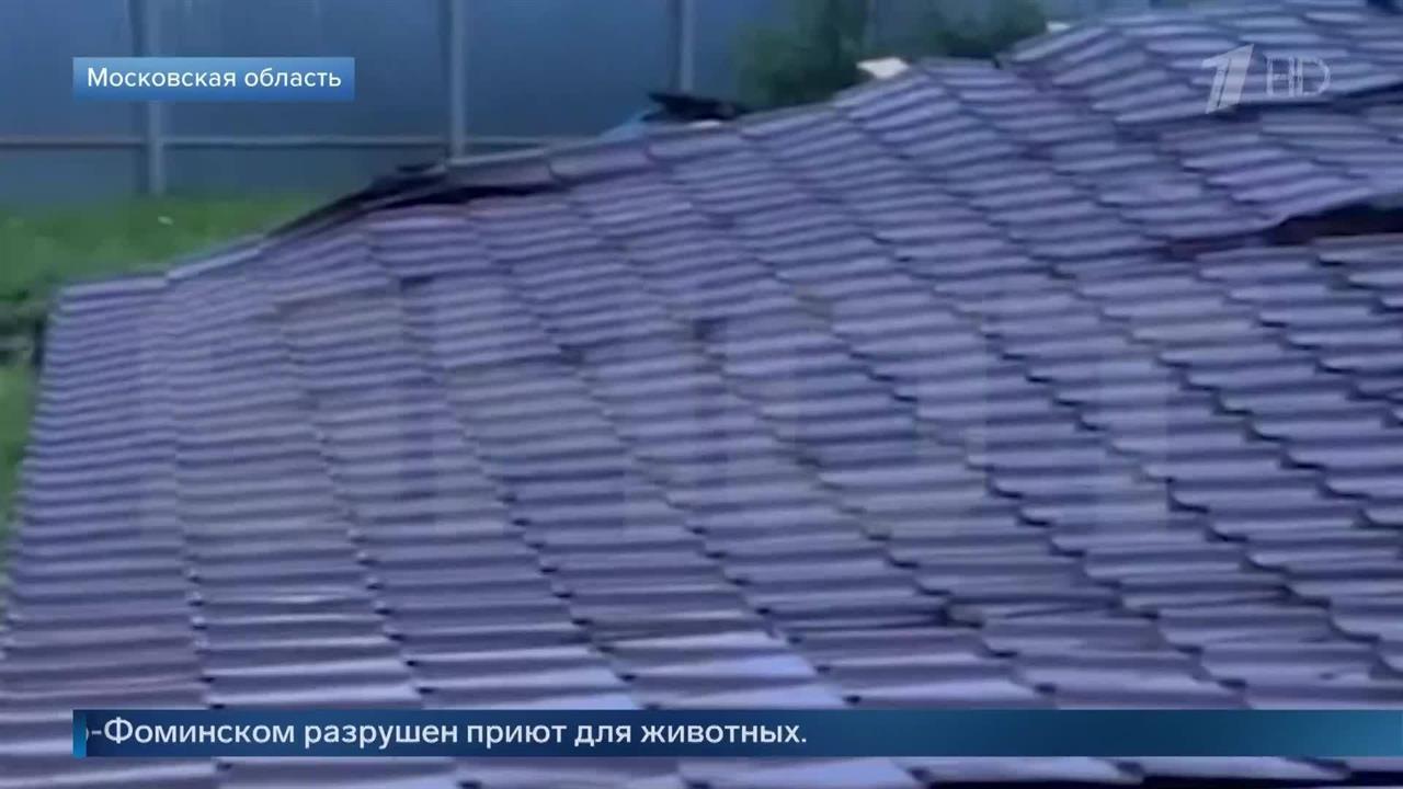 "Собаки в шоке": в МО из-за смерча разрушены приют для животных и крыши домов. смотреть онлайн