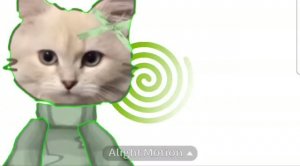 :3