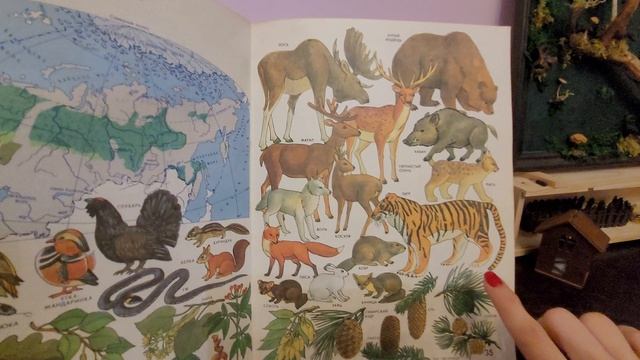 Мир и человек. Природные зоны, растения и животные нашей страны.