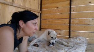 На перекус у Дуньки селедка🐕🐕🐕
