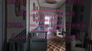 Ария Елецкого из оперы «Пиковая дама» исп.Санько Леонид (версия.2 под минус)