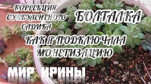 КОРРЕКЦИЯ СУККУЛЕНТНОГО САДИКА | КАК Я ПОДКЛЮЧАЛА МОНЕТИЗАЦИЮ | БОЛТАЛКА ●●●