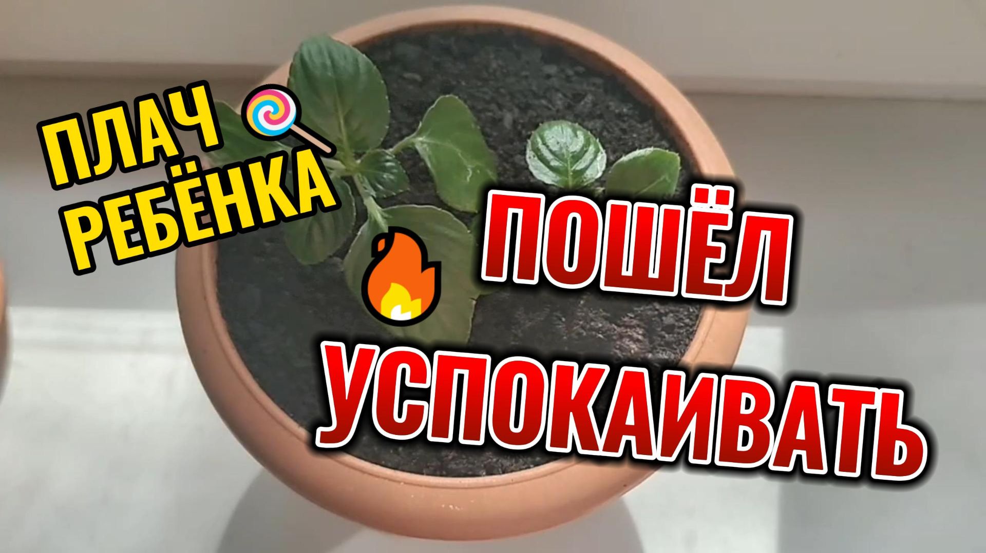 ИННА СУДАКОВА👍👍👍 ЛУЧШЕ ВО СТО РАЗ‼️ПАРЫ недоблоГГеров🤮 смотреть онлайн