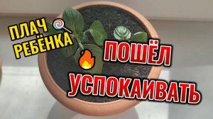 ИННА СУДАКОВА👍👍👍 ЛУЧШЕ ВО СТО РАЗ‼️ПАРЫ недоблоГГеров🤮