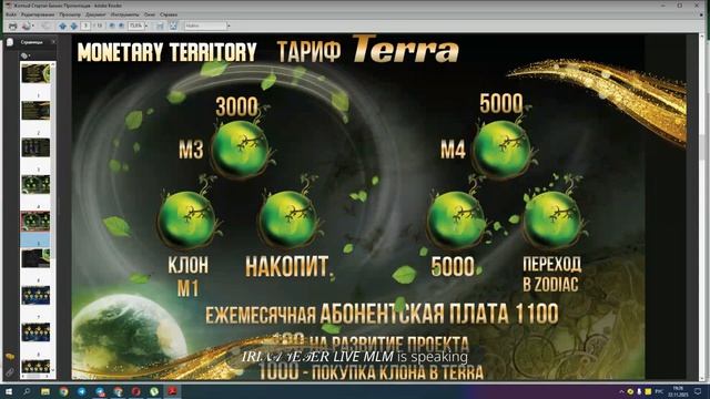 Money Forest - маркетинг, результаты абонентской платы смотреть онлайн