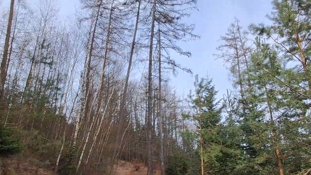 Захватывающий дух вид на поля и развалины Замка Троски. смотреть онлайн