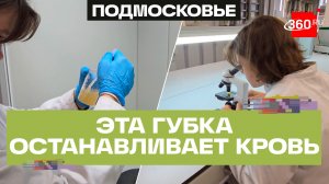 Школьница из Москвы разработала губку, которая останавливает кровотечение