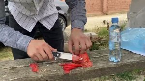 Для заказа пишите в Ватсап (WhatsApp) +7-(906)-447-74-70  Кизлярские Ножи и многое другое! Подпишись