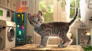 Приключение милого котенка и маленькой кошечки - Веселые игры по уходу за домашними животн