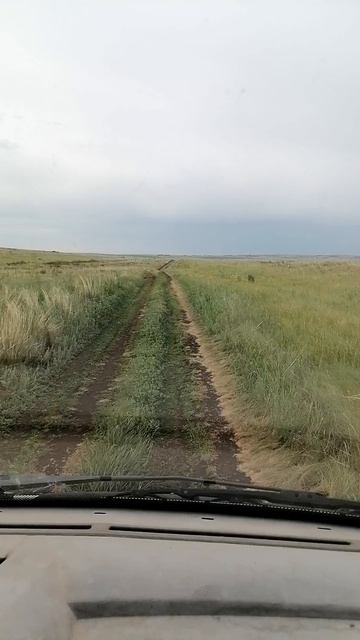 Южный Урал. Аркаим. Экстремальные покатушки. смотреть онлайн