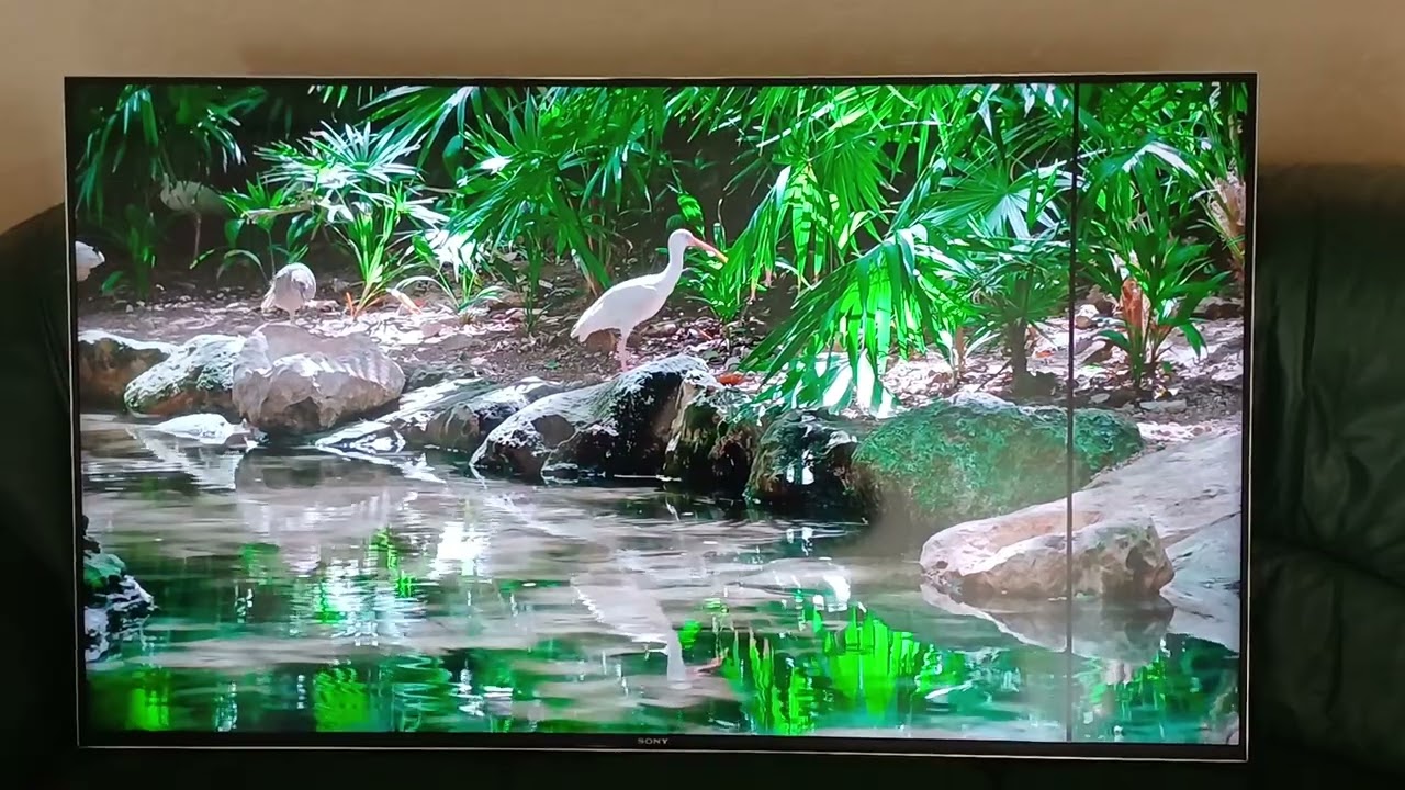 0680222541 technoexpert.in.ua Sony 55XH9299 Сони телевизор 55 дюмов android Smart TV Wi-Fi 4K ULTRA смотреть онлайн