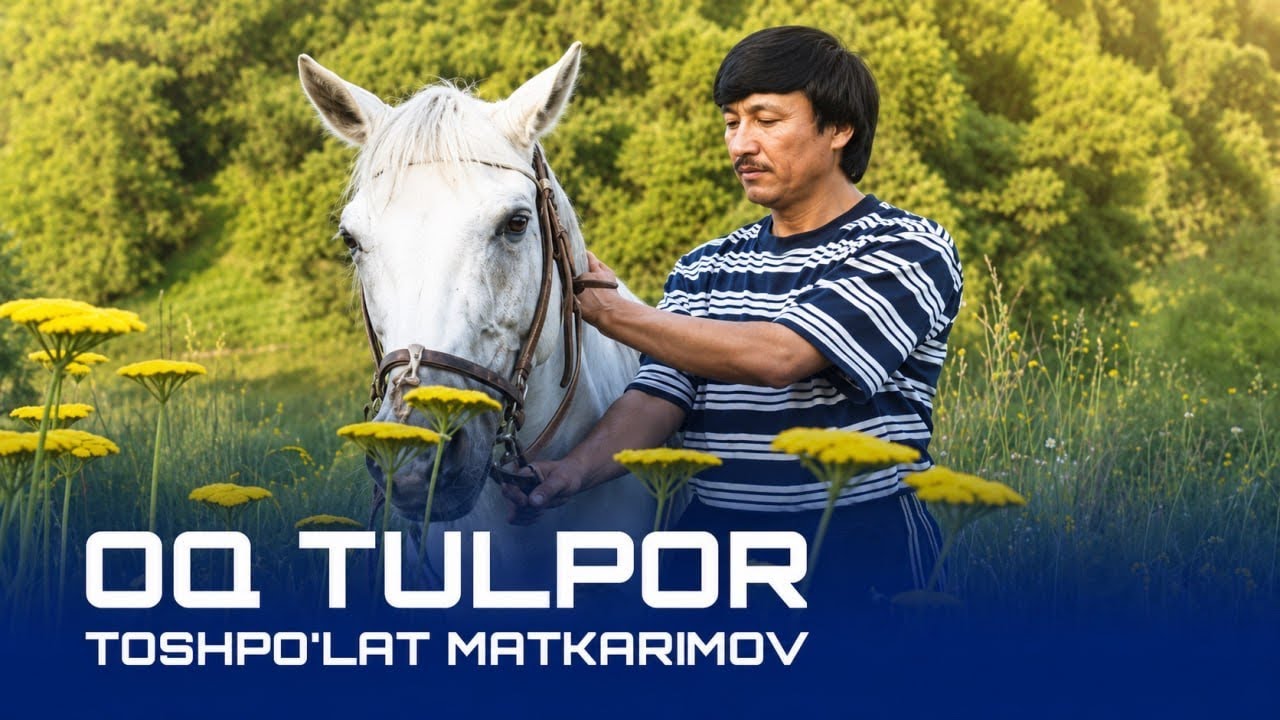 Toshpo'lat Matkarimov - Oq tulpor | Тошпўлат Маткаримов - Оқ тулпор смотреть онлайн
