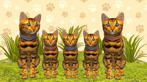 МАЛЕНЬКИЙ КОТЕНОК ПРИКЛЮЧЕНИЯ МОЙ ЛЮБИМЫЙ СИМУЛЯТОР КОШЕК FUNNY KITTIES FAMILY #16