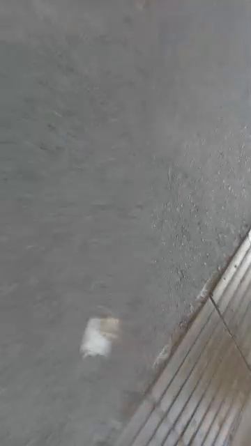 gi смотреть онлайн