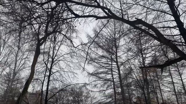 Конец марта. Дождливый день в Екатеринбурге смотреть онлайн