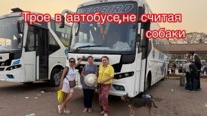 Разнообразие бананов на рынке🍌🍉😁🤪🥰😍