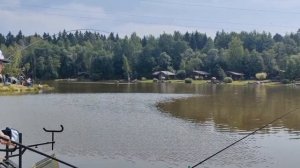 поимка карпов на новом пирсе