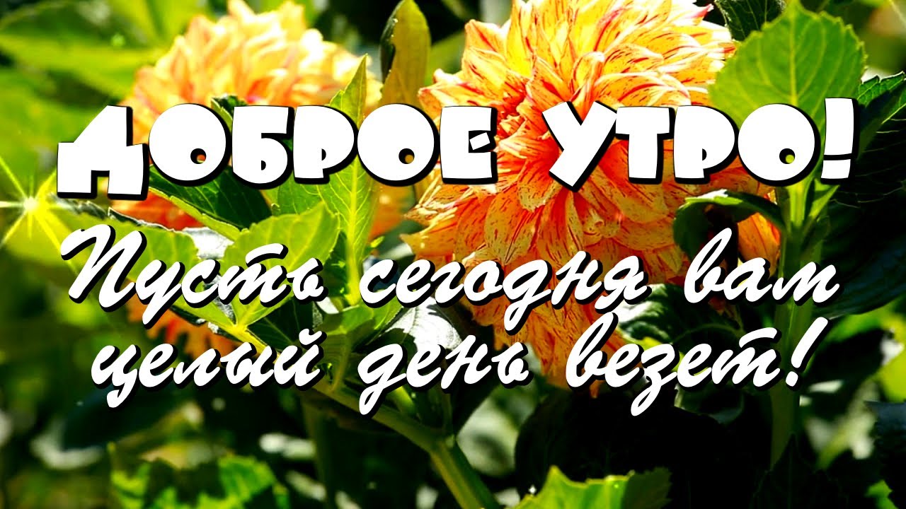 Доброе утро! Здравствуй, новый день! Красивое пожелание С Добрым утром смотреть онлайн