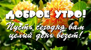 Доброе утро! Здравствуй, новый день! Красивое пожелание С Добрым утром