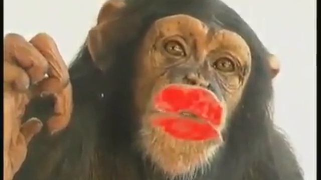 Милая обезьянка
