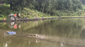 карп активен