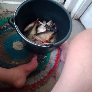 жизнь Василия по ветру