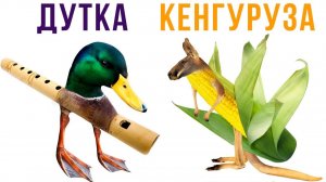 Приколы для СВЕРХРАЗУМОВ!) Гы-гы))