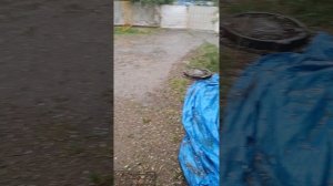 Дзержинский град 11.07.26г