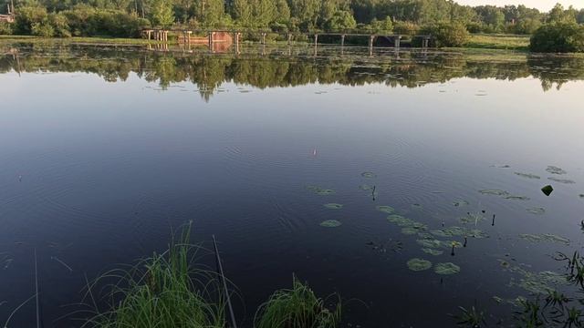 Рыбалочка !