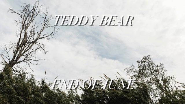 Teddy Bear - End of June смотреть онлайн