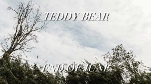 Teddy Bear - End of June