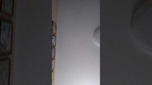 стрим!