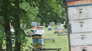 Медосбор заканчивается.