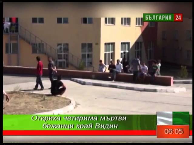 ТВ "България 24" - Вести смотреть онлайн