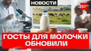 Новые ГОСТы на молочные продукты появятся в России. Что поменяется?