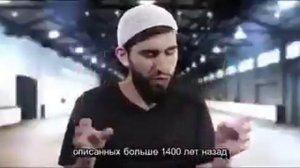 Смысл жизни