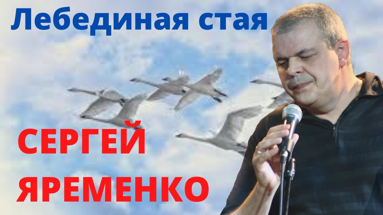 Песня "Лебединая стая". Гитара. Шансон. Автор Сергей Яременко смотреть онлайн