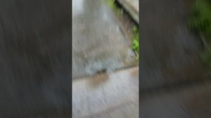 гром