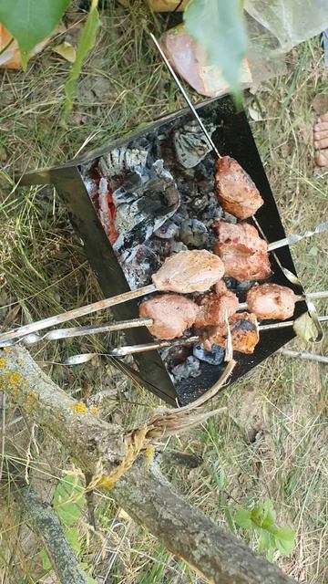 ШАШЛЫК НА ОГНЕ🤗🥰👍👍👍 смотреть онлайн