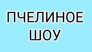ДАВИЛКА всё-таки достучалась до ОЛАШКИ!
