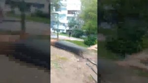 11-07-2026 васая