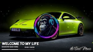 WELCOME TO MY LIFE - Shadow Bass King