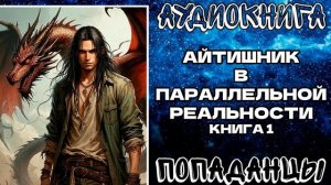 АУДИОКНИГА ПОПАДАНЦЫ: АЙТИШНИК В ПАРАЛЛЕЛЬНОЙ РЕАЛЬНОСТИ. КНИГА 1