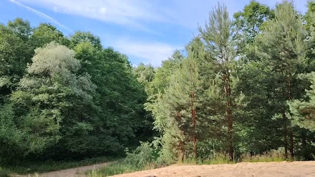 Мое отношение к алкоголю и пьющим людям смотреть онлайн