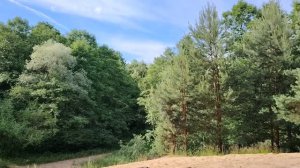 Мое отношение к алкоголю и пьющим людям