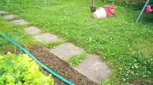 ДАЧНЫЙ ВЛОГ 🏡Алёна про новую работу👍