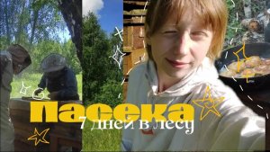 ✹Видео дневник внучки пчеловода| жизнь в лесу| готовка на огне | собирание трав✹