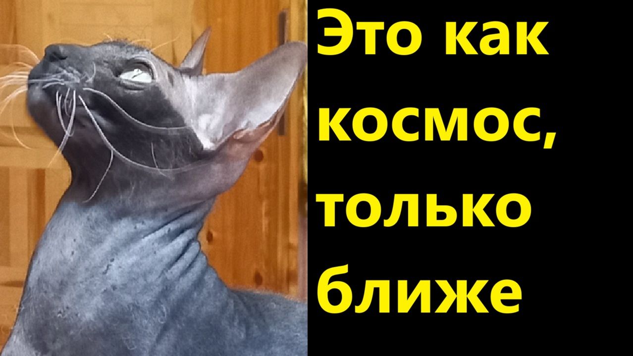 Это как космос, только ближе смотреть онлайн