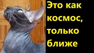 Это как космос, только ближе